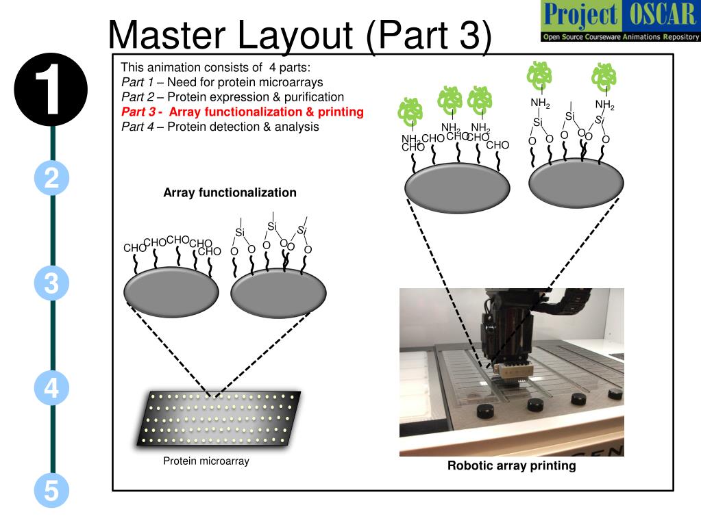 PPT - Protein Microarrays PowerPoint Presentation, Free Download - ID ...