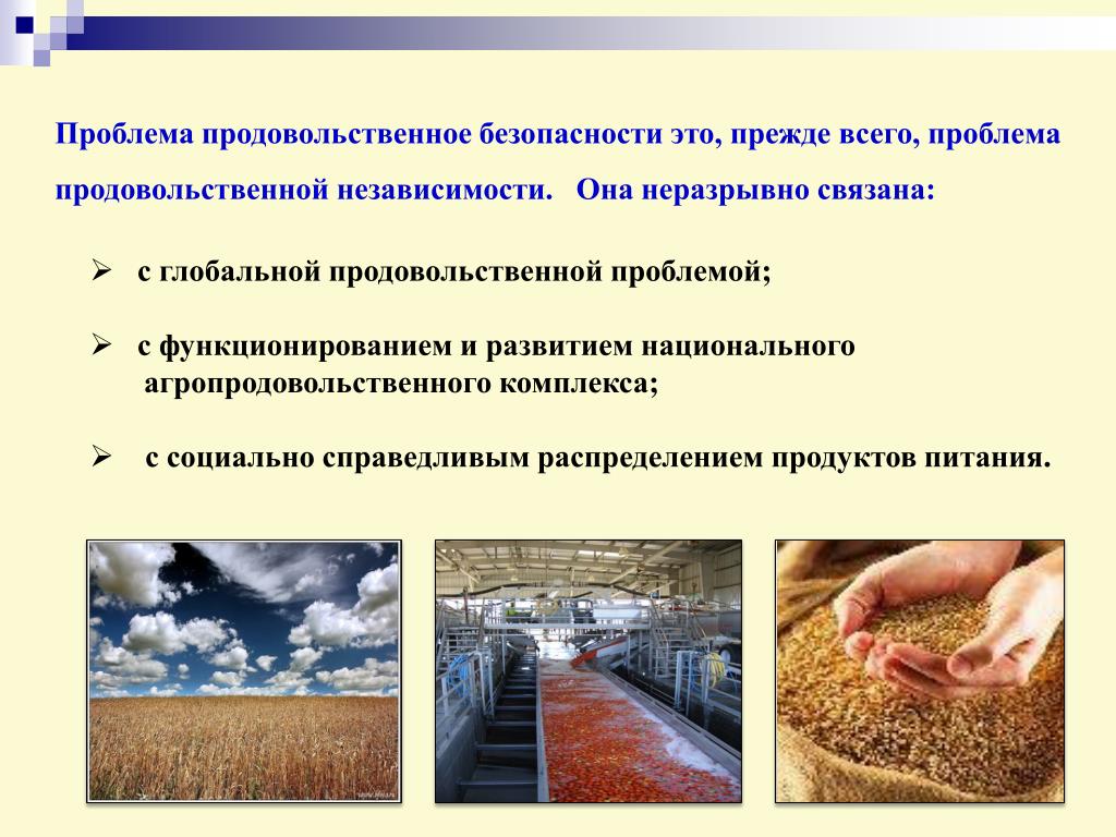 Изменение решения апк. Проблемы продовольственной безопасности. Обеспечение продовольственной безопасности. Продовольственная безопасность страны. Продовольственная безопасность России.