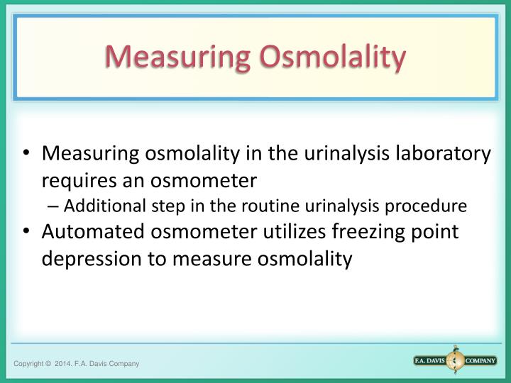 PPT PHYSICAL EXAMINATION OF URINE PowerPoint Presentation ID7036624