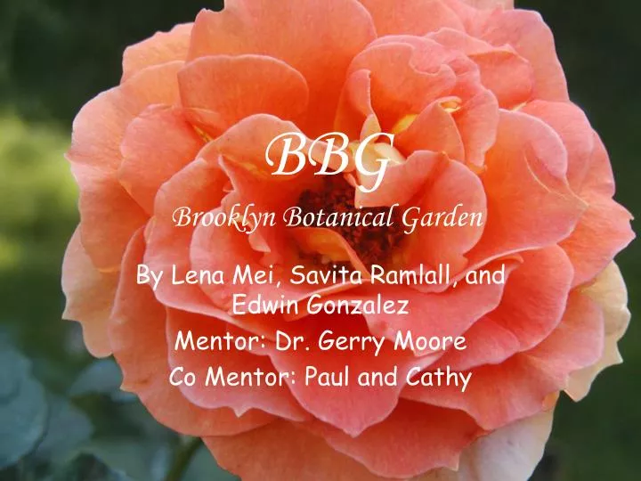 Ppt Bbg Brooklyn Botanical Garden Powerpoint Presentation Free