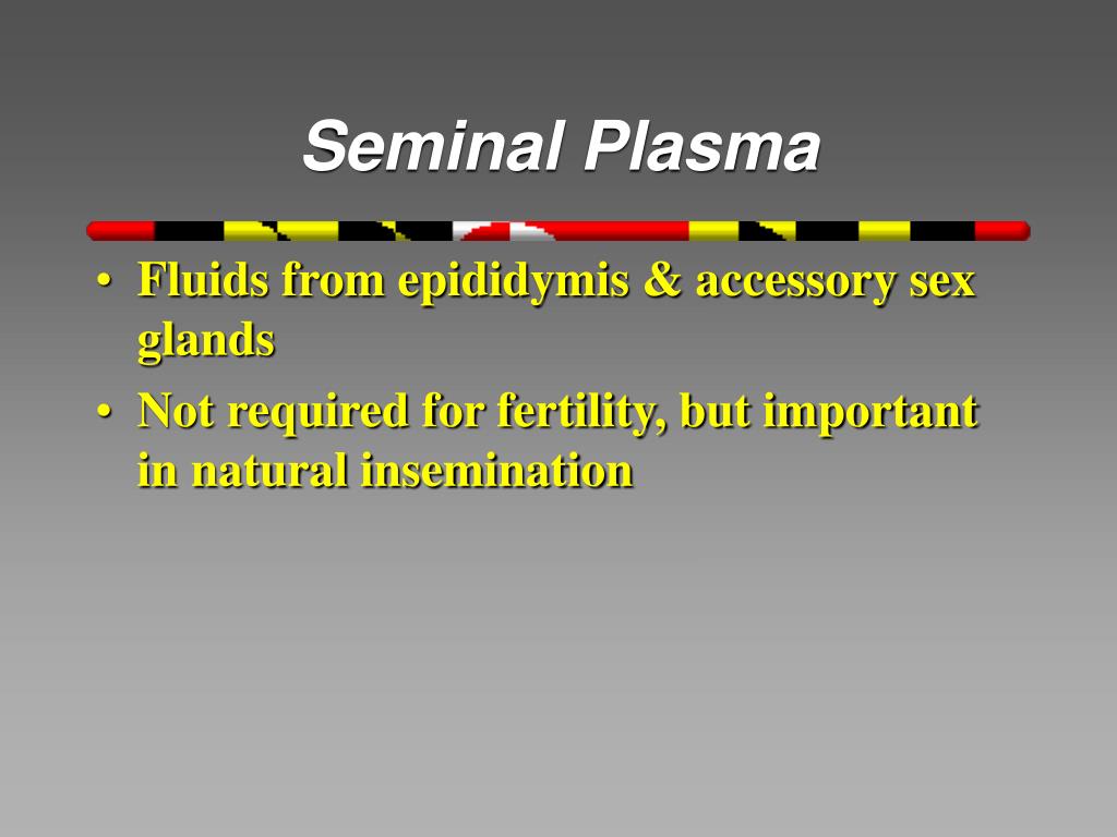 Ppt Male Anatomy Embryogenesis Powerpoint Presentation Free Download