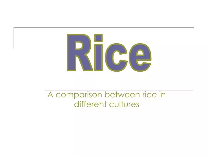 PPT A comparison between rice in different cultures PowerPoint