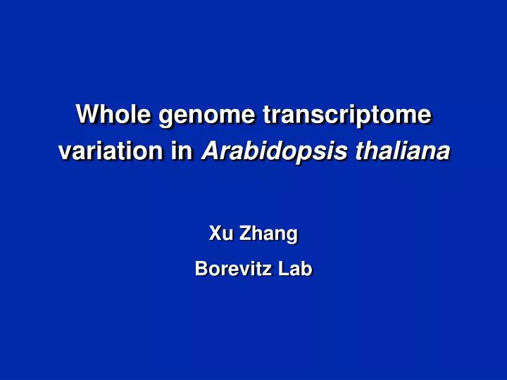 variation lab variation lab