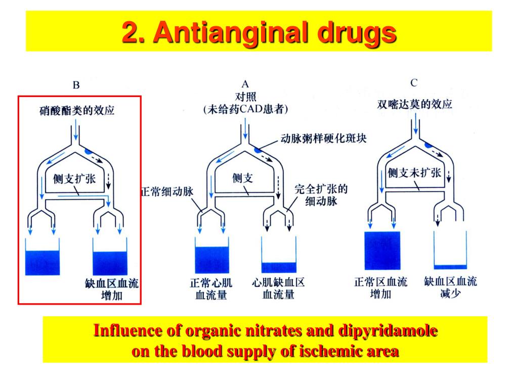 antianginal drugs powerpoint presentation