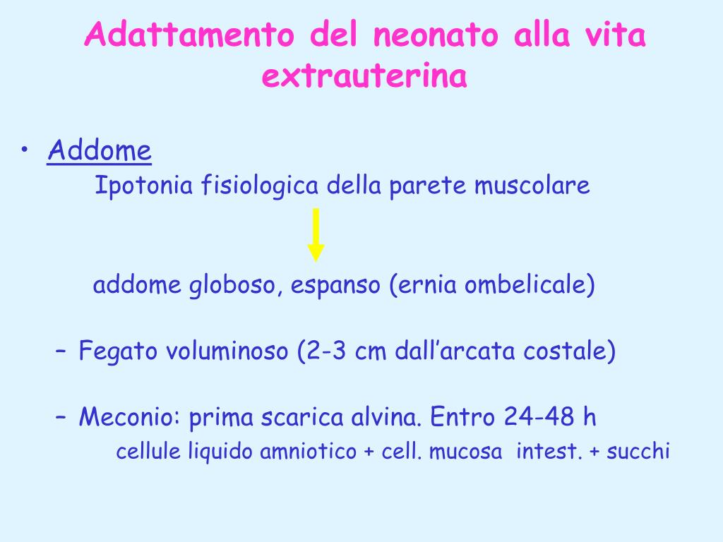 alvina definizione scarica