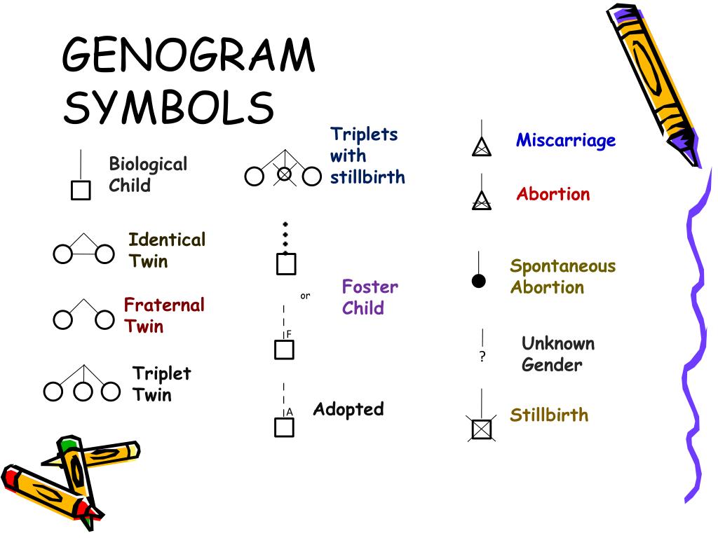 PPT TOOLS IN FAMILY ASSESSMENT PowerPoint Presentation Free Download