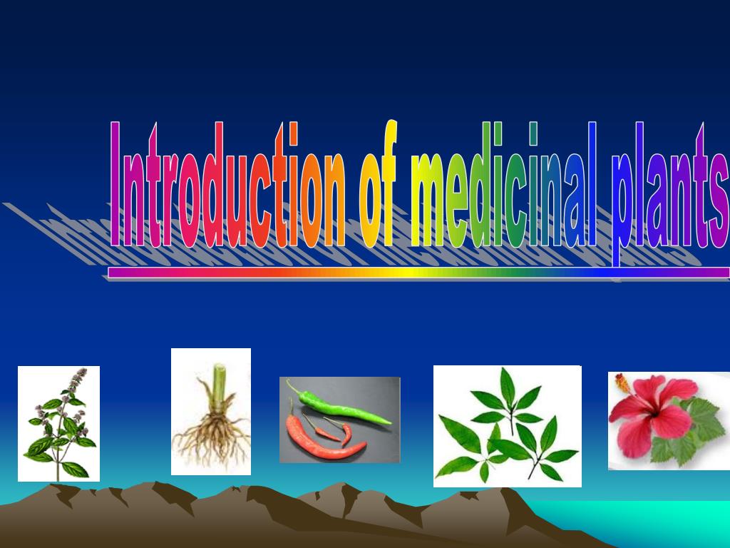 dissertation on medicinal plants