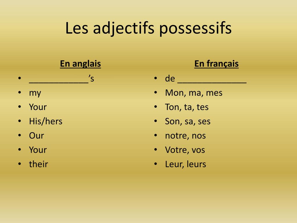 PPT - Les adjectifs possessifs PowerPoint Presentation, free download -  ID:7043969