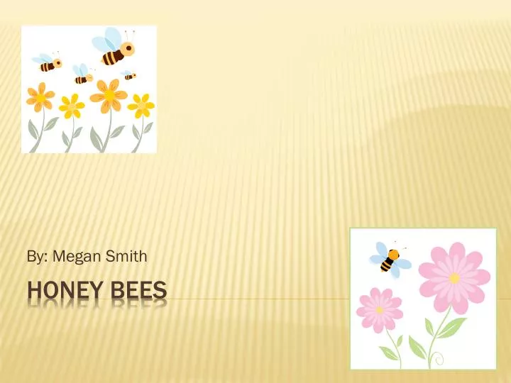 PPT - Honey Bees PowerPoint Presentation, free download - ID:7044025