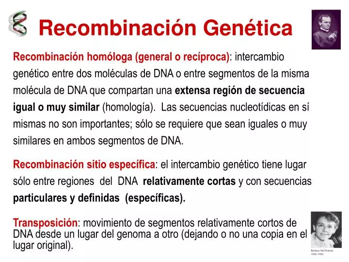 recombinacion genetica ppt Recombinación del adn.