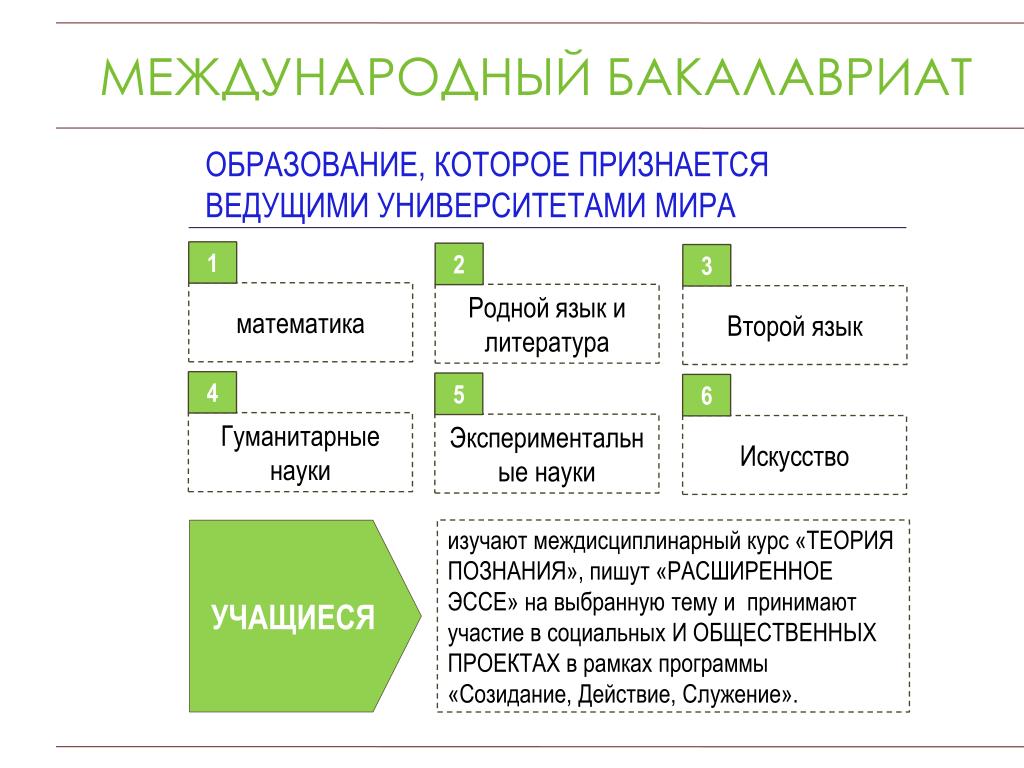 Международный бизнес бакалавриат