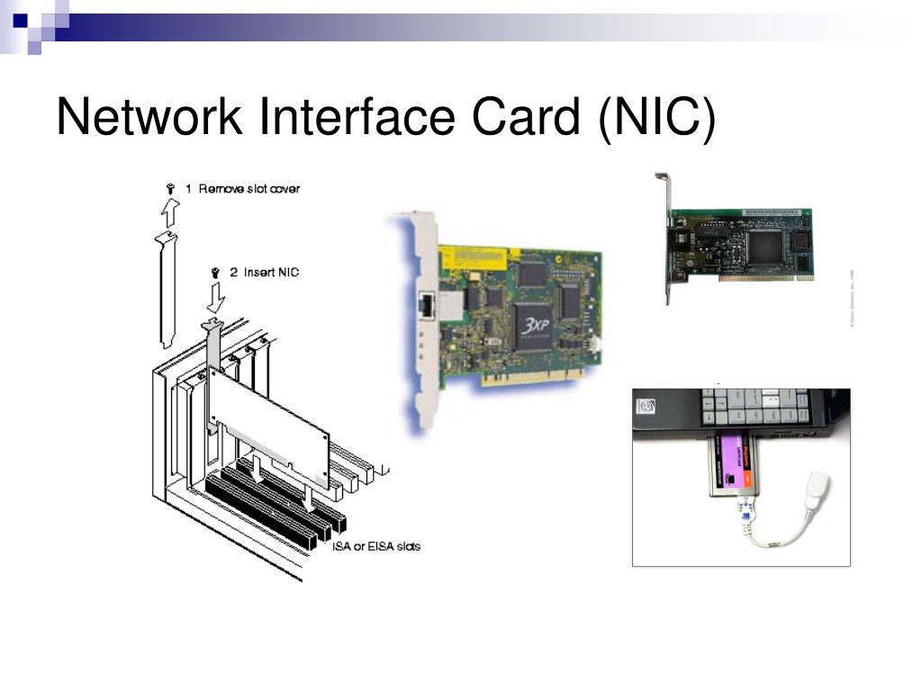 Интерфейсы сетевых карт. Сетевая карта nic. Сетевая интерфейсная карта. Сетевой lan-Интерфейс. Network interface Card nic.