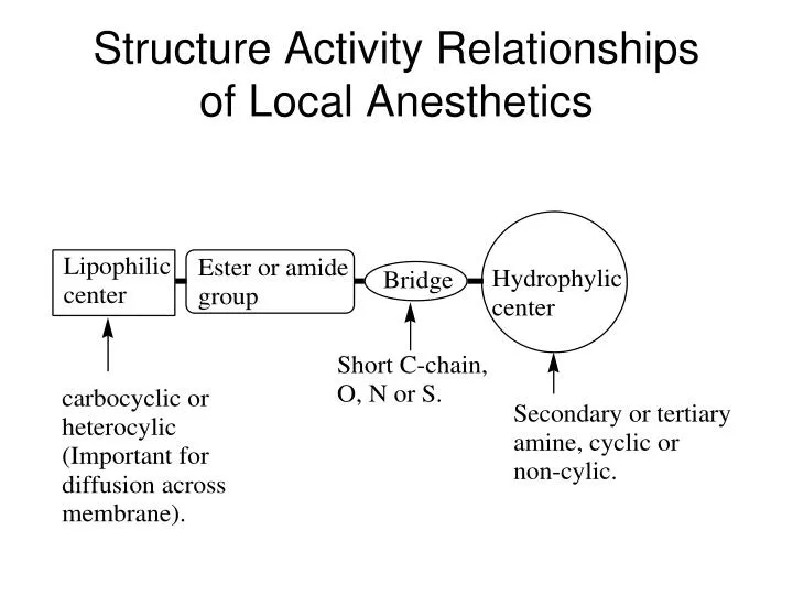 PPT - Structure Activity Relationships Of Local Anesthetics PowerPoint ...