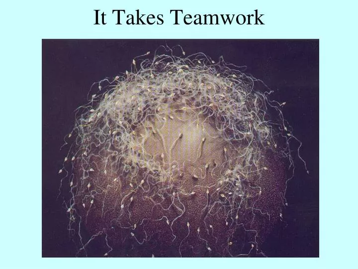 it takes teamwork n.