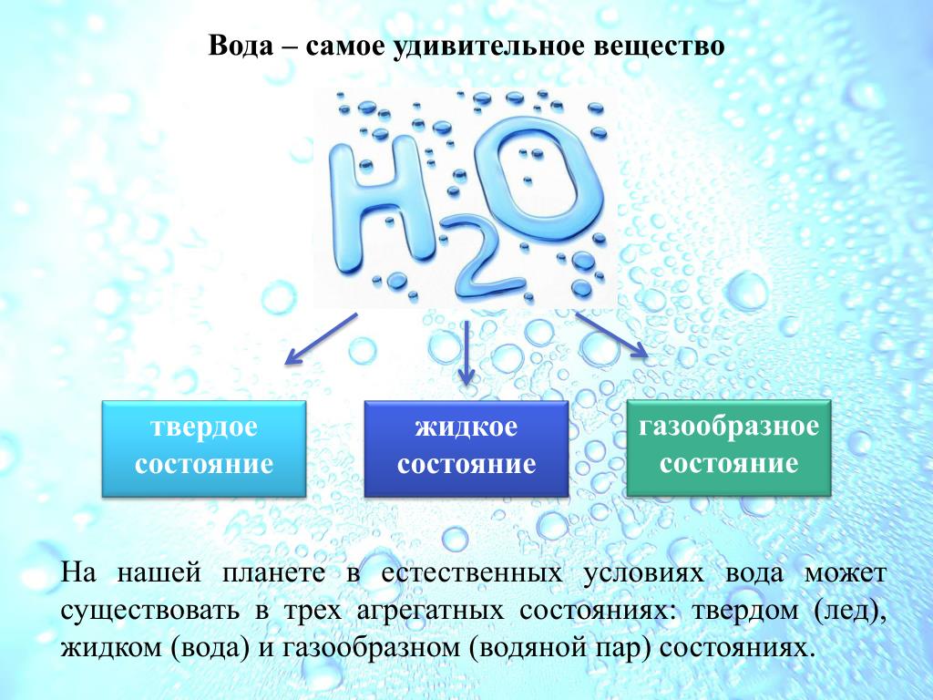 PPT - Информационно-исследовательский проект на тему "Загрязнение и охрана гидро