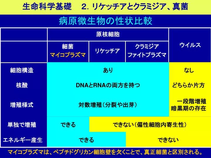 Ppt 細菌 マイコプラズマ Powerpoint Presentation Free Download Id
