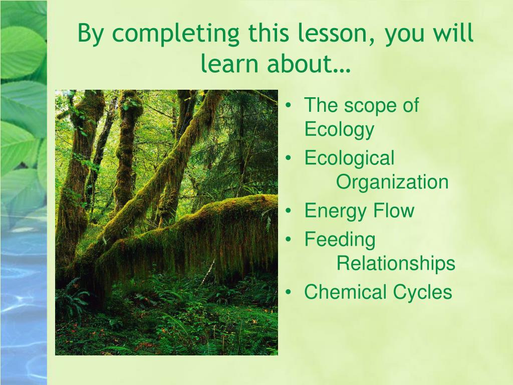intro to ecology presentation