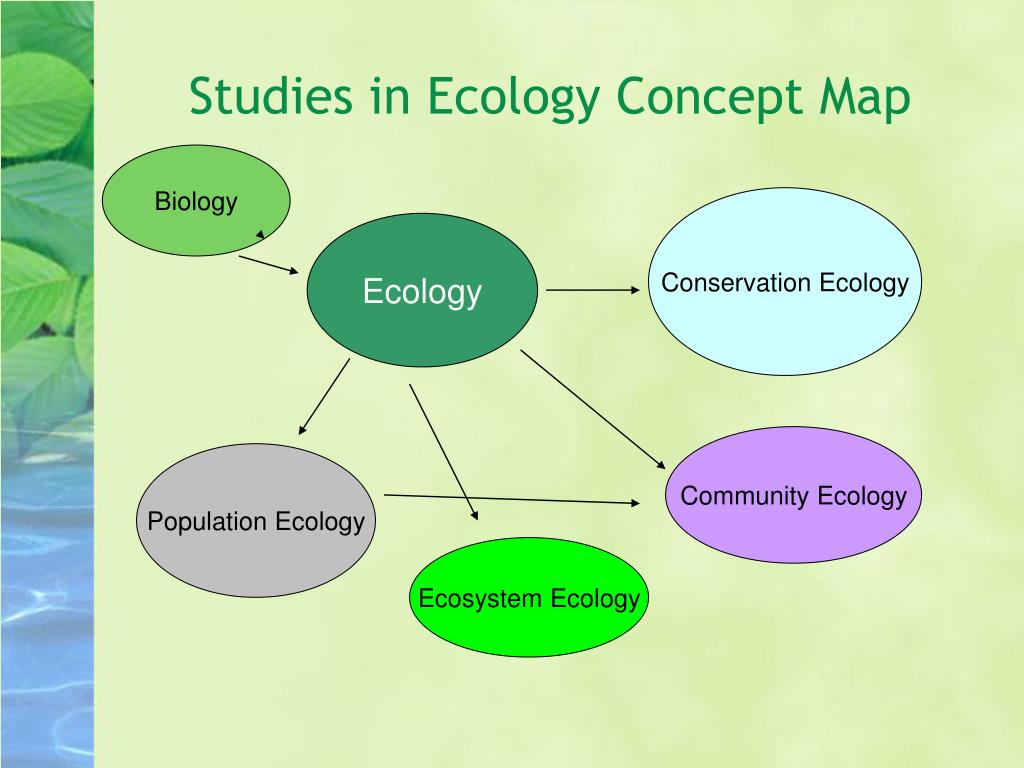 Reading about ecology. Community ecology. Types of ecology. Introduction to ecology. Ecology study.