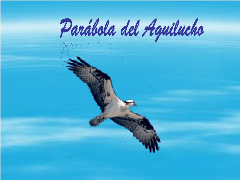 PPT - Parábola del Aguilucho PowerPoint Presentation, free download -  ID:7060670
