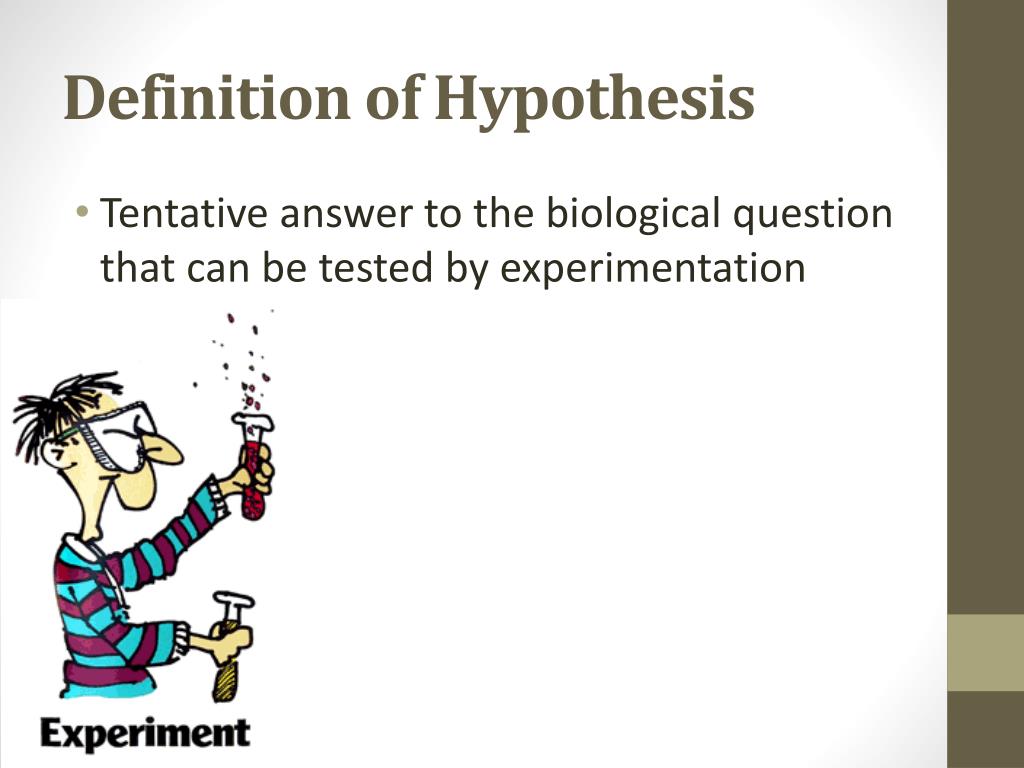 definition of hypothesis in biology