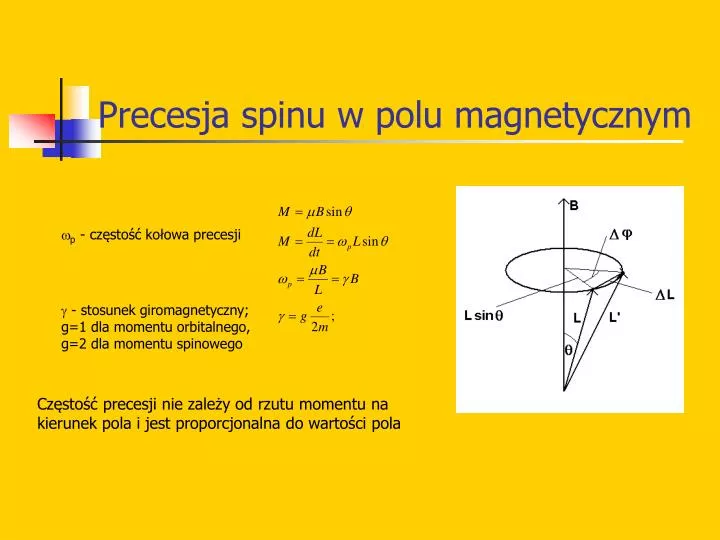 precesja spinu w polu magnetycznym n.