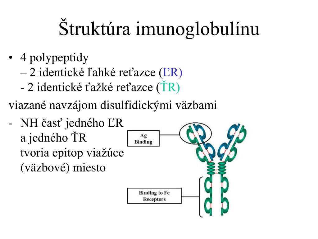 PPT - Imunoglobulíny Komplement MHC Cytokíny PowerPoint Presentation -  ID:7068020