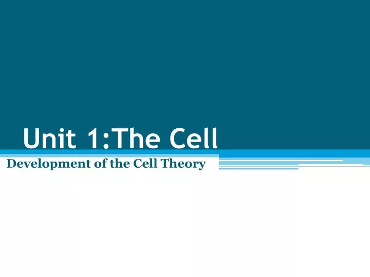 unit 1 the cell n.