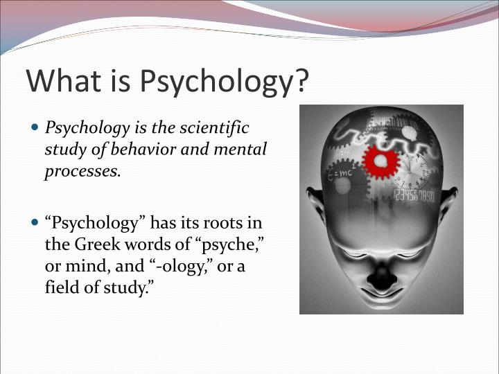 psychology what psychologist have found out Review and research the employment outlook for school psychologists for a school psychologist are found at private master's in school psychology. psychology what psychologist have found out Review and research the employment outlook for school psychologists for a school psychologist are found at private master's in school psychology.