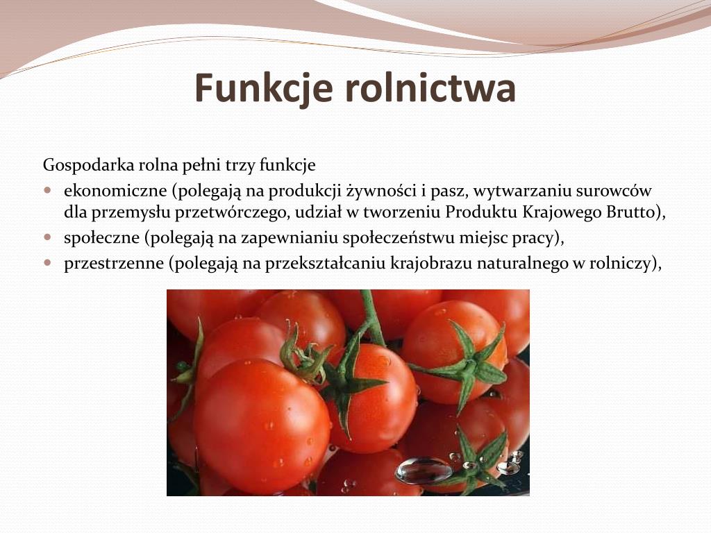 Funkcje Rolnictwa Jako Sektora Gospodarki