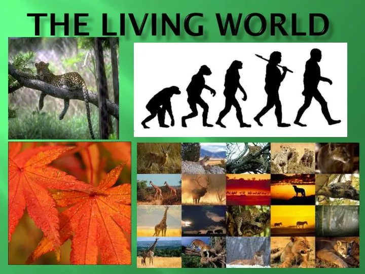 the living world the living world