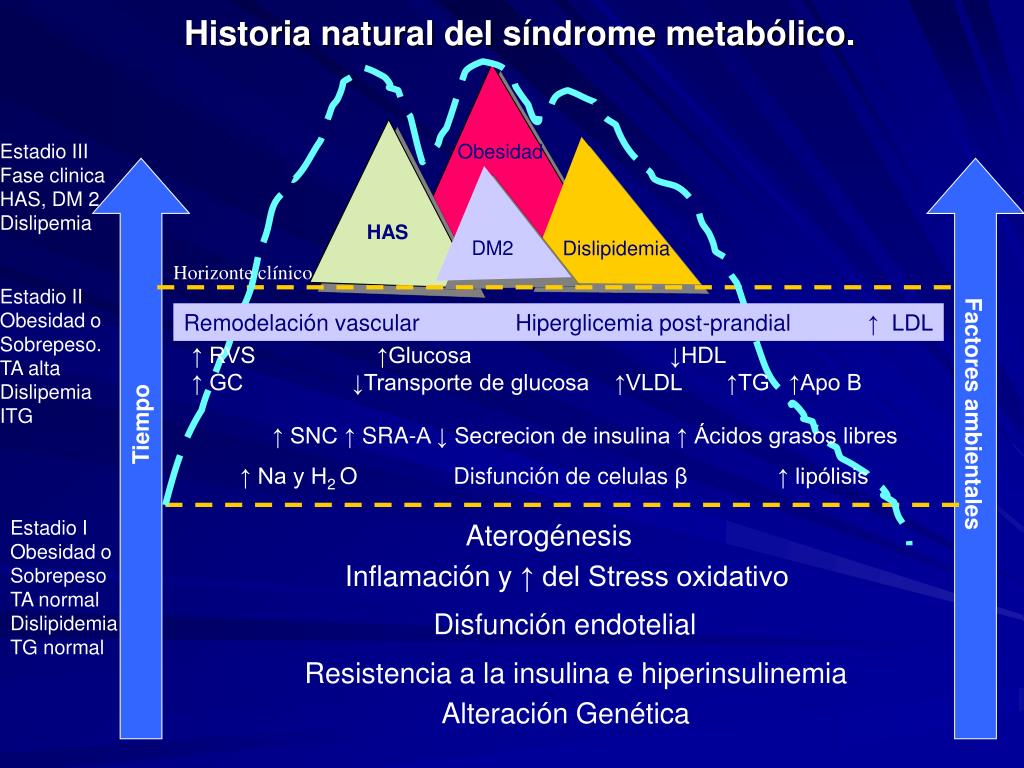 cuales la presión arterial normal reseñas