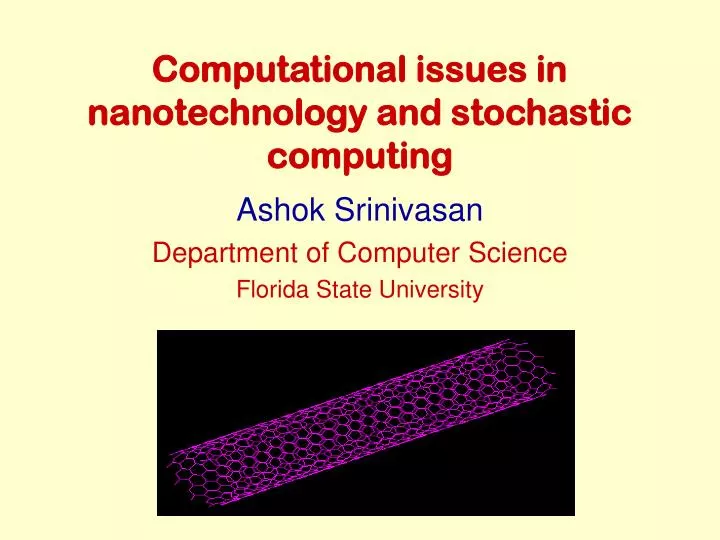 computational issues in nanotechnology and stochastic computing n.
