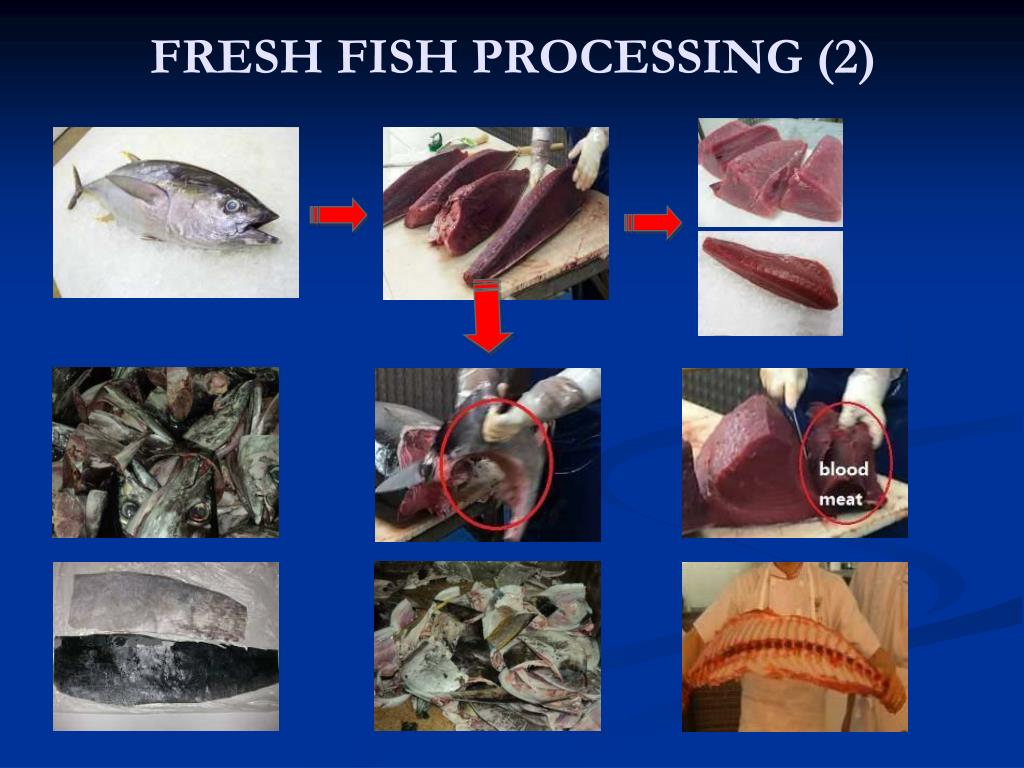 PPT FISH PROCESSING & FISH WASTE PowerPoint Presentation, free
