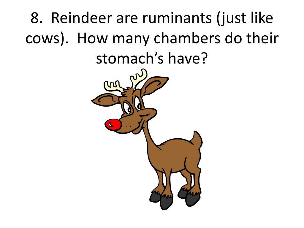 PPT Christmas Science Quiz PowerPoint Presentation, free