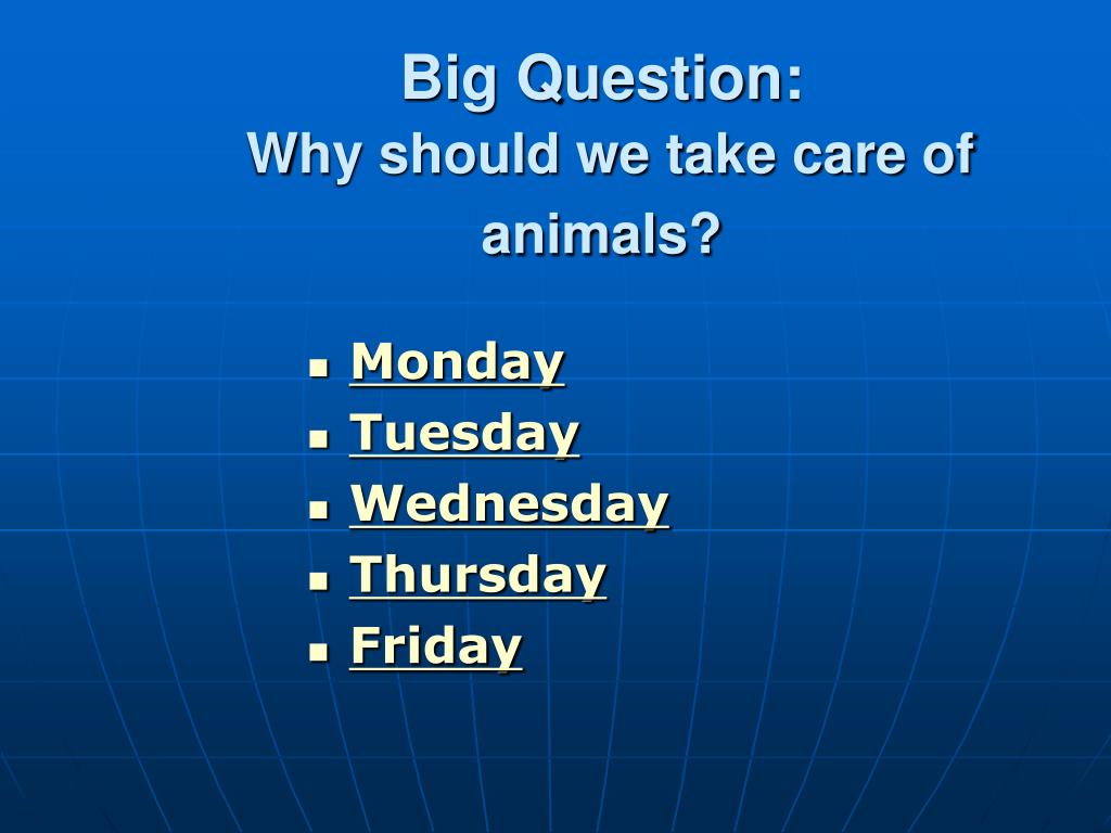 reasons why we should take care of animals fish and birds