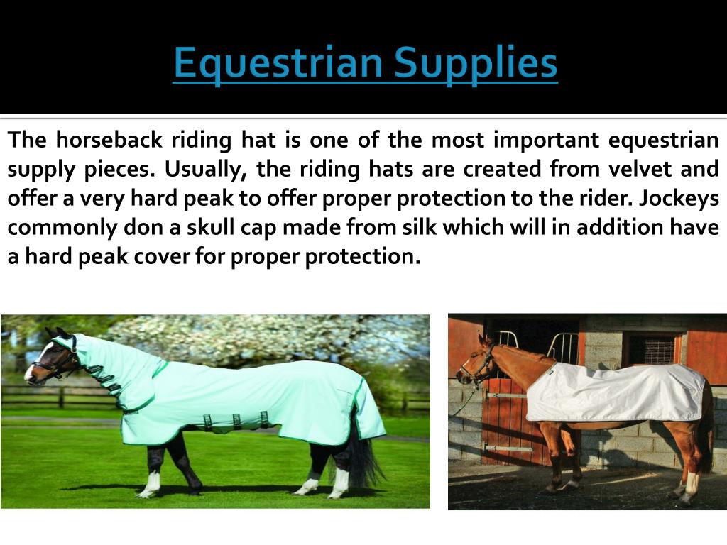 Equestrian Supplies L 