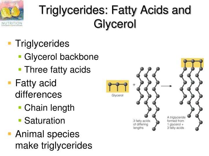 PPT Chapter 5 The Lipids Fats, Oils, Phospholipids, and Sterols