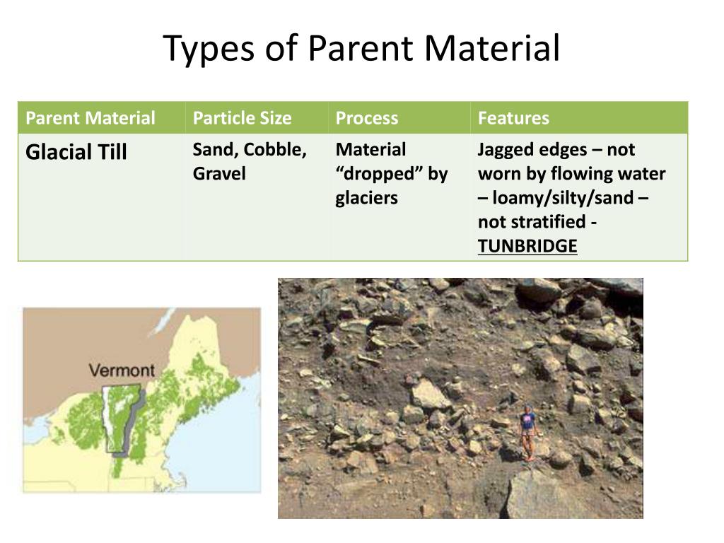 PPT Soil Science 1 PowerPoint Presentation, free download ID7080941