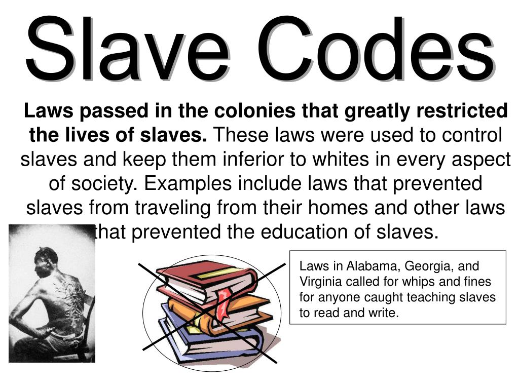 slave codes essay