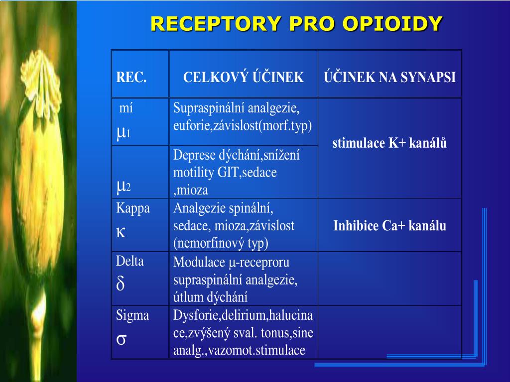 PPT - OPIÁTY A OPIOIDY PowerPoint Presentation, free download - ID:7083722