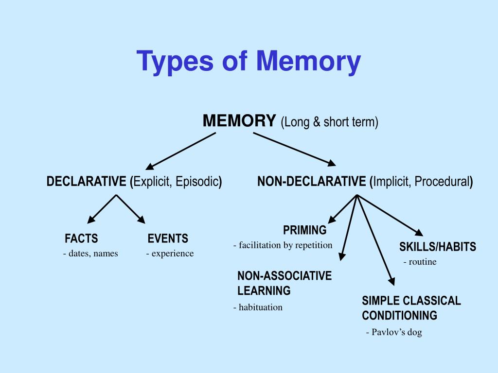 PPT - Visual Working Memory PowerPoint Presentation, free download - ID ...