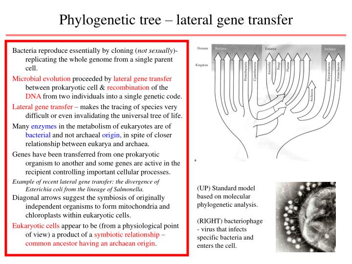 Lateral Gene Transfer Example PPT - Phys 214. Planets and Life PowerPoint Presentation - ID:7085804