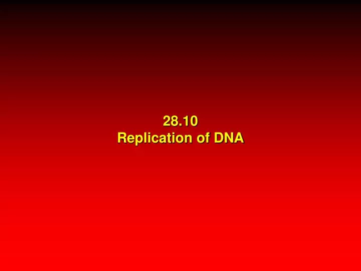 28 10 replication of dna n.