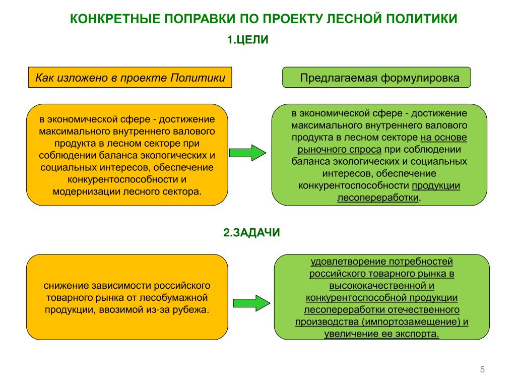 Проект политики. Экономические задачи Лесной политики. Проект политики цель. Экономические цели Лесной политики. Задачи лесного комплекса.