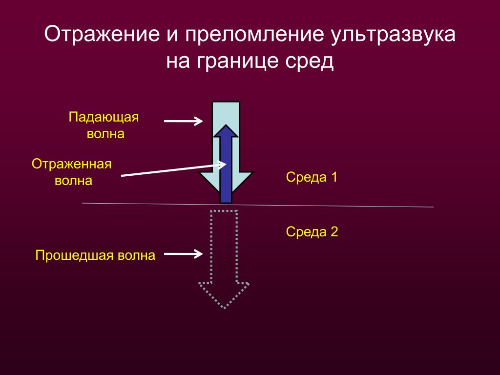 Принцип отражения. Отражение ультразвуковых волн. Отражение волны ультразвук. Коэффициент отражения ультразвука на границе двух сред. Отражение ультразвука на границе двух сред.