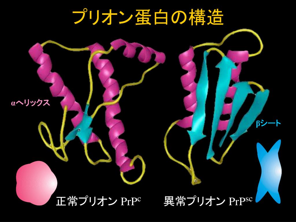 PPT - 市民公開講座 もっと知ろう！ プリオン病（狂牛病