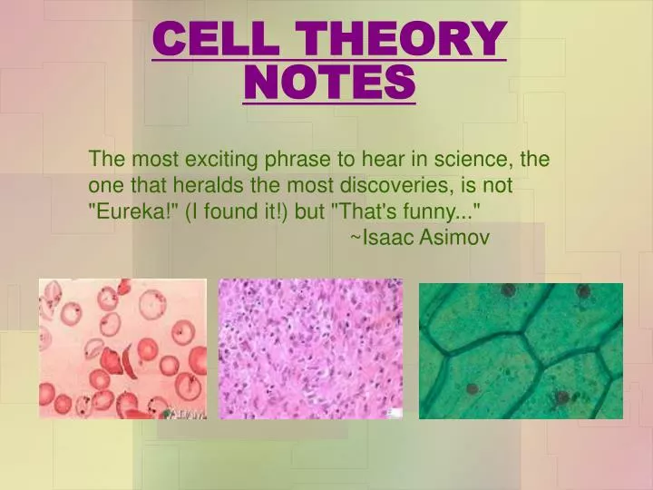 PPT - CELL THEORY NOTES PowerPoint Presentation, free ...