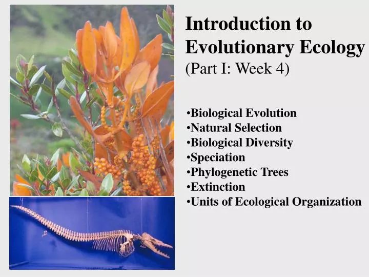 PPT - Introduction To Evolutionary Ecology (Part I: Week 4) PowerPoint ...