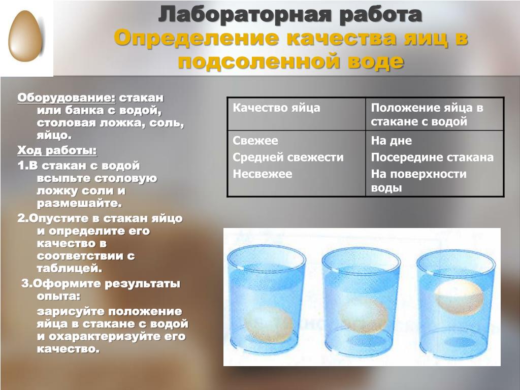 Эксперимент качество воды. Опыт с водой и яйцом и солью. Определение качества яиц. Способы определения качества яиц. Опыт с яйцом и водой.