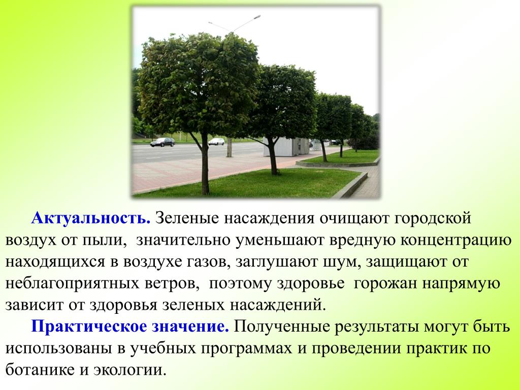 Стоимость Зеленых Насаждений